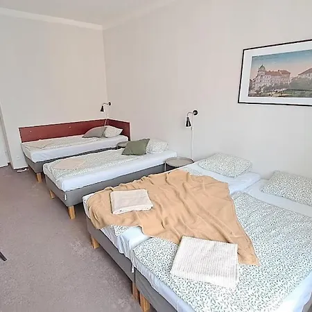 아파트 Flat In Zizkov -402- *