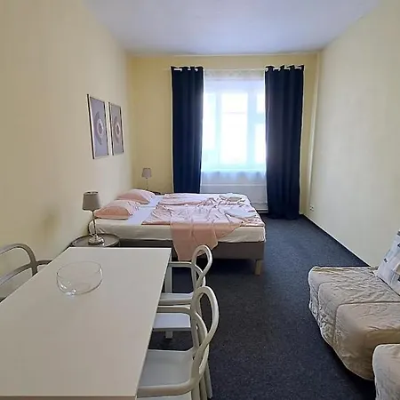 Flat In Zizkov -402- 프라하