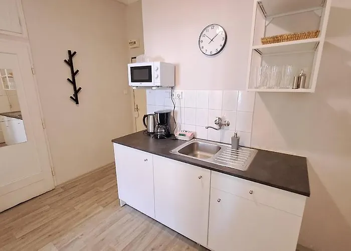 Flat In Zizkov -402- 아파트 프라하