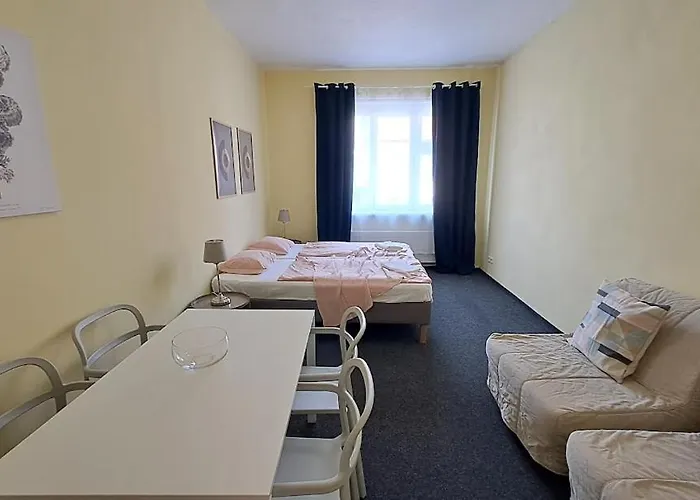 Flat In Zizkov -402- 프라하